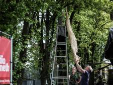 Gloednieuwe kunstroute in Ulft moet nieuwe bezoekers naar winkels trekken en de aloude een beetje kietelen
