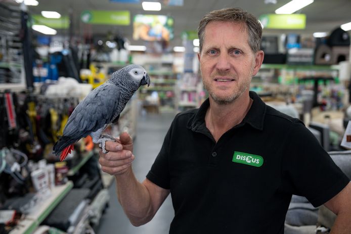 Kees Wammes met papegaai Macho in zijn gelijknamige dierenspeciaalzaak in Kerkdriel. ‘Ik begin geen webshop meer, contact met klanten vind ik het leukst.’