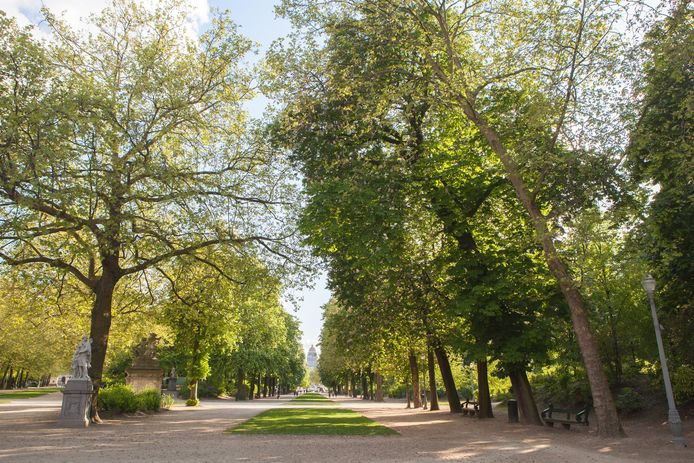 Le parc de Bruxelles (illustration).
