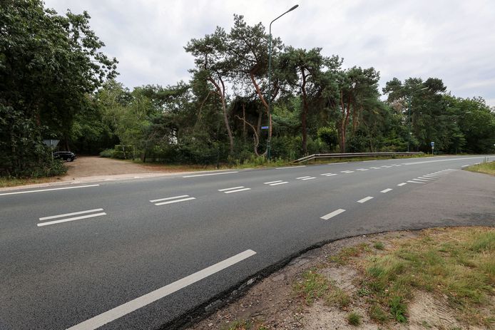 De plek waar het klimbos is voorzien aan de Lieshoutseweg.