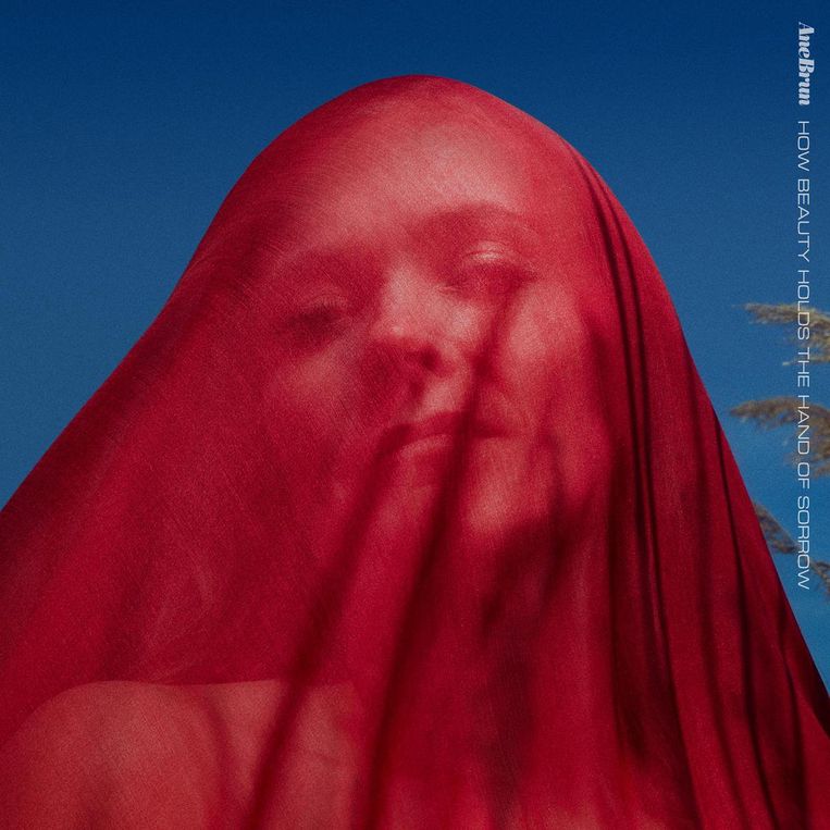 How Beauty Holds The Hand of Sorrow van Ane Brun.  Beeld 