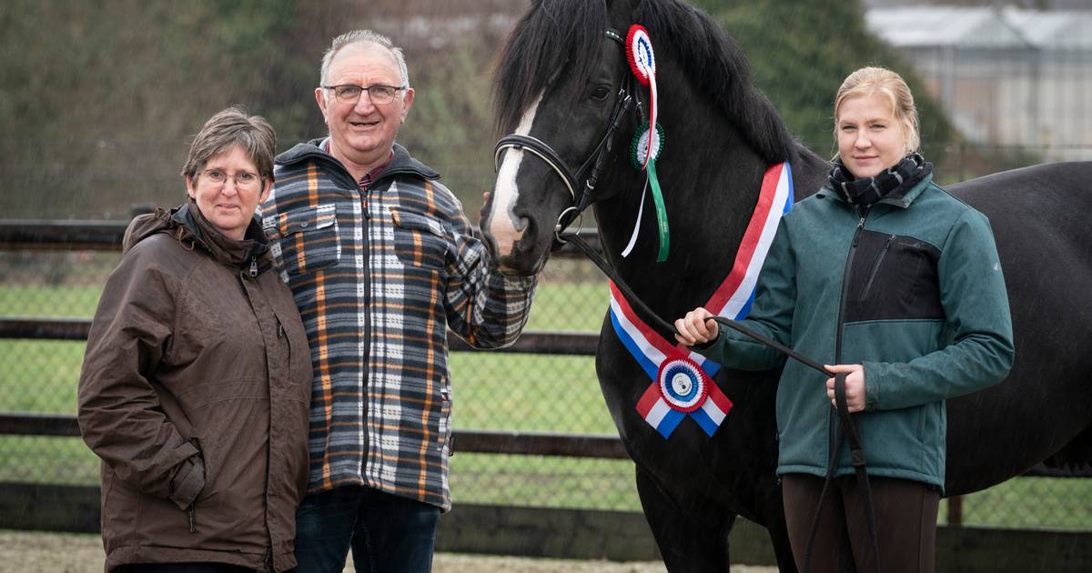 Cromvoirt in actie voor schrijnende situatie paardenhouders in Oekraïne
