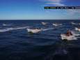 Ruim 20 vissersbootjes vallen Sea Shepherd aan