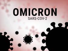 Un nez qui coule, un mal de tête: ça pourrait bien être Omicron