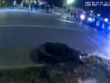 Bodycambeelden tonen hoe agent op alligator springt in VS