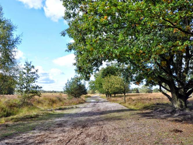 Het Vlaams Compostelagenootschap stelt vernieuwde pelgrimsroute Via Monastica voor: “Je loopt volop door natuurgebieden en landelijke omgeving”