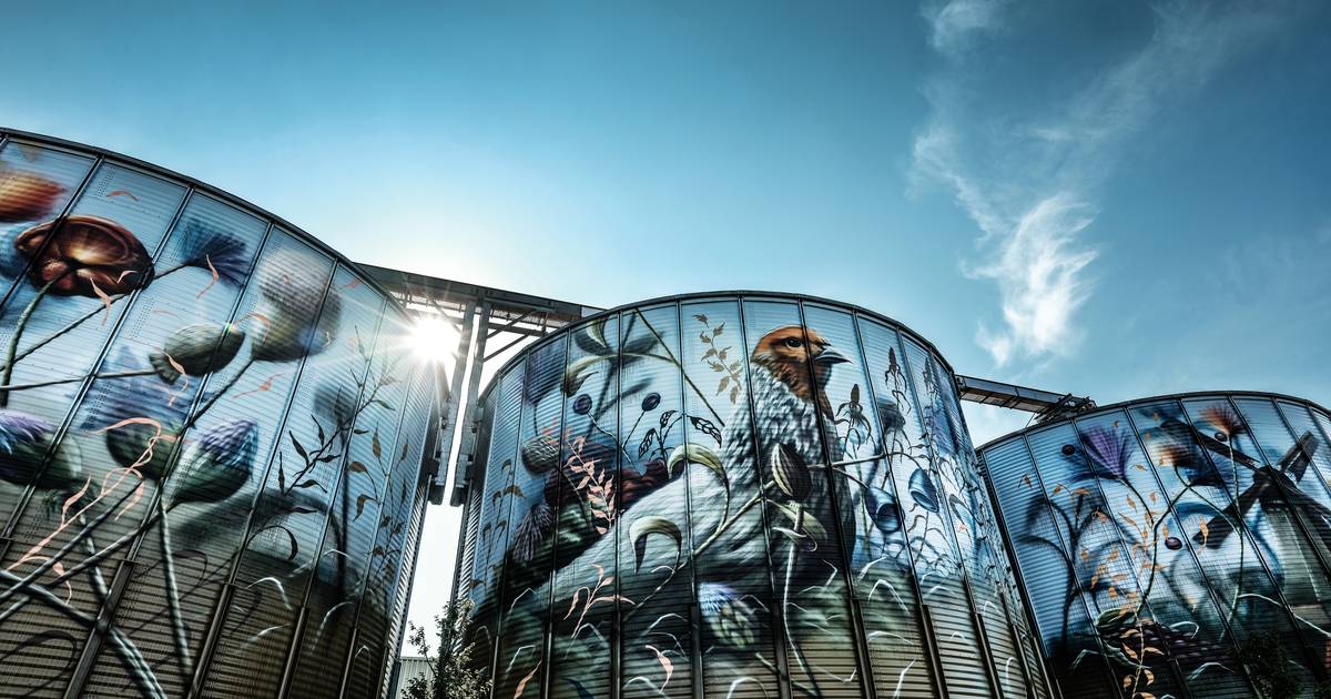 Met tiende schilderij is Silo Art Tour door Achterhoek gereed: ‘We sluiten af met een knaller’