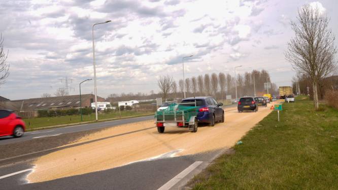 Vrachtwagen verliest lading graan op N272 bij Beek en Donk