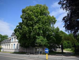 FOTOREPO De eerste beelden van panoramisch kasteelpark de Bunswyck…