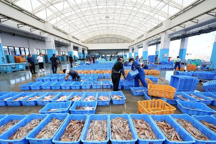 Beeld ter illustratie. Visserijarbeiders sorteren zeevruchten die zijn gevangen in de 'offshore' trawlvisserij in de haven van Matsukawaura in Soma City, Fukushima.
