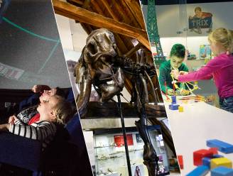 79 kindvriendelijke musea in heel Vlaanderen: hier gaan cultuur en plezier hand in hand