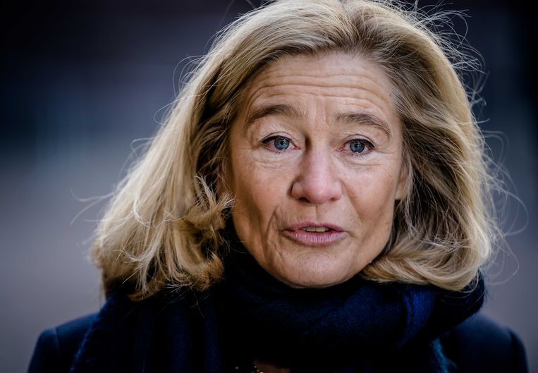 Micky Adriaansens, minister van economische zaken. Beeld ANP