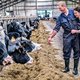Gemoederen in zwaarst getroffen stikstofregio lopen hoog op: ‘Geloof me, dit gaat al lang niet meer over natuur’
