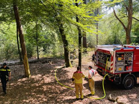 Voorbijgangers ontdekken brand in bos Birkhoven, brandweer rukt uit met meerdere wagens