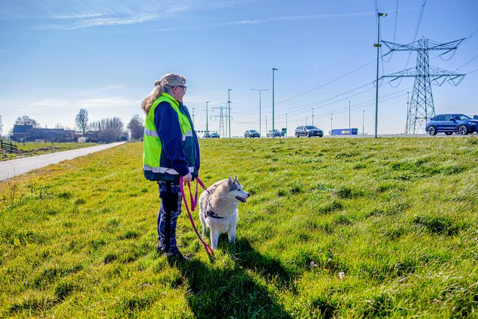 Miriam Bosman van dierenambulance De Ronde Venen / Amstelland langs de A2 ter hoogte van Nieuwer ter Aa. Ze maakt zich ernstig zorgen over het aantal verongelukte honden op deze plek en eist maatregelen.
