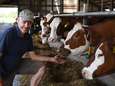 Melkveehouder Jos: ‘Mark van den Oever en zijn Farmers Defence Force volgen heel andere koers dan ik’
