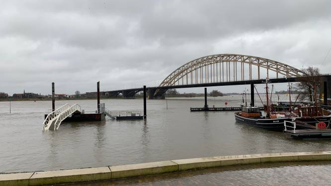 LIVE | Uiterwaarden en kades lopen onder: waterpeil in onze rivieren stijgt, Nijmegen sluit terreinen langs Waal