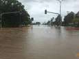 Krokodillen vullen de straten van overstroomde gebieden Queensland
