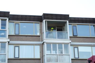 Brand in appartementencomplex Elst: snel ingrijpen brandweer voorkomt erger