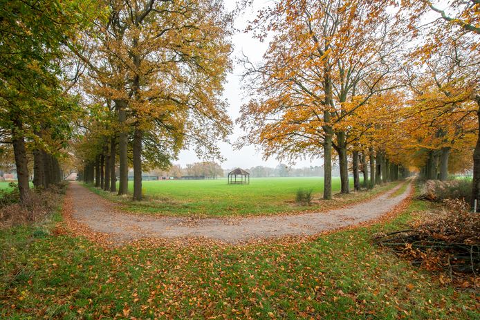 Landschap bij de Prinsenhoef in Breda.