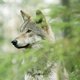 Humo selecteert de documentaires van de week (van 9 tot 15 juni)