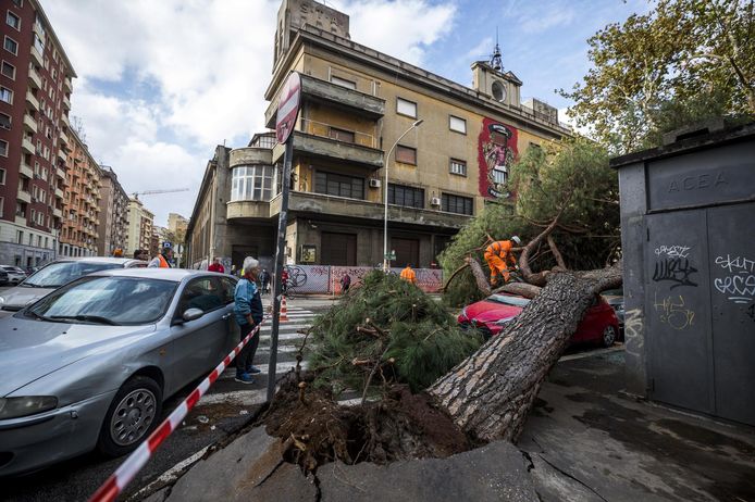 Bomen ontworteld en omgevallen in Rome.