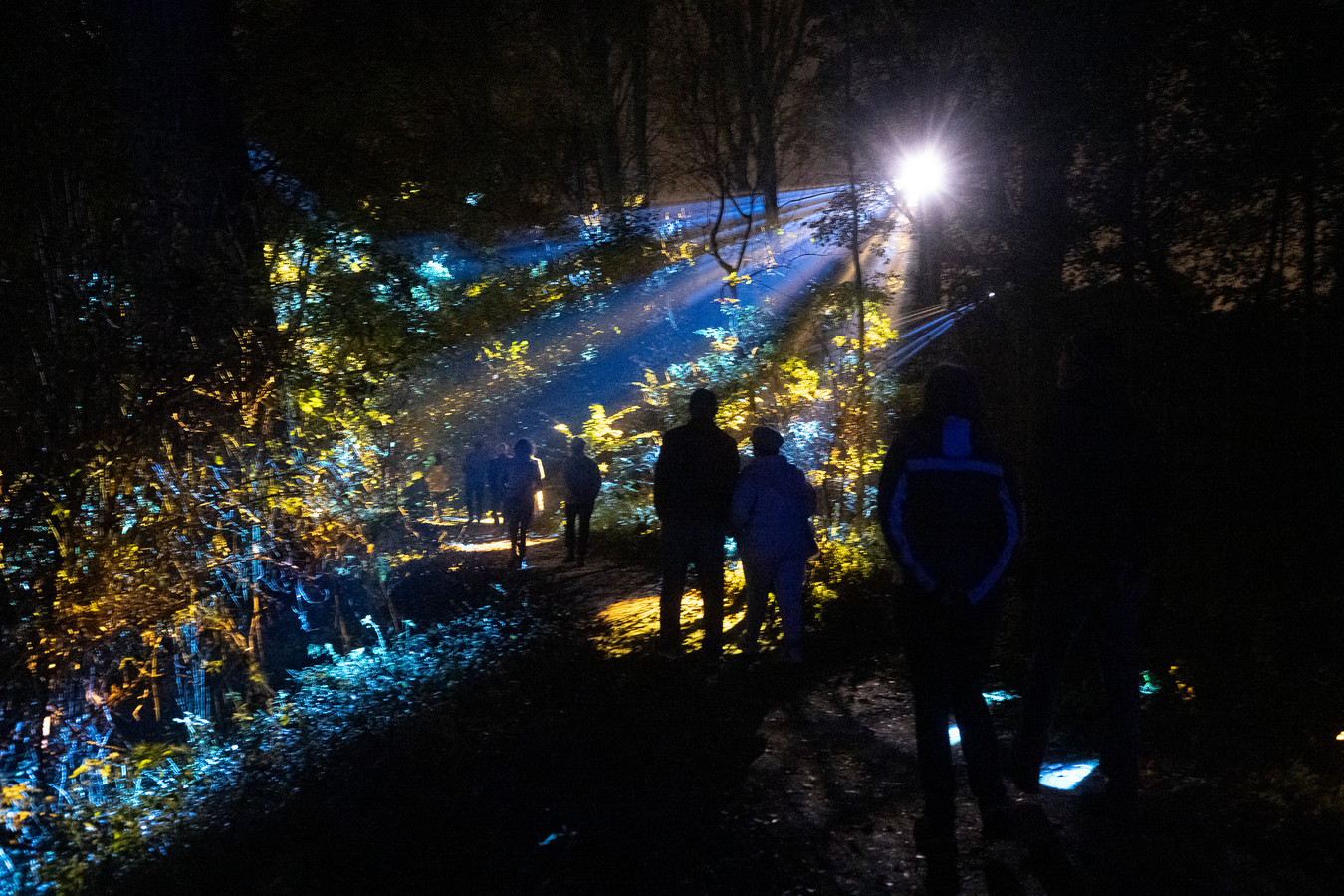 De Grote Schijn komt voor vijfde keer naar Rivierenhof Foto hln.be