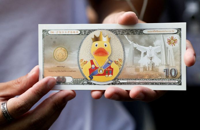 Een demonstrant toont een nep bankbiljet met een eend in plaats van de koning.