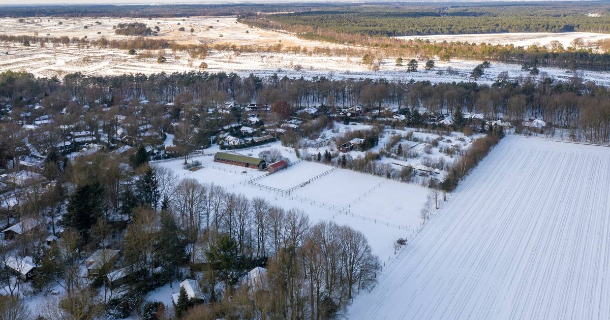 Bungalowsoap in Speuld gaat door: ook zónder de paardenstallen ziet tegenstander problemen