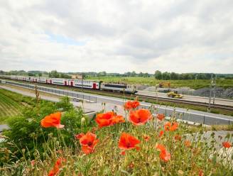 Werken aan derde en vierde spoor tussen Brugge en Gent meer dan halfweg: “Tegen 2029 moet alles klaar zijn”