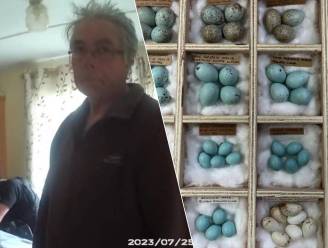 Brit (71) die constant eieren van wilde vogels steelt ontsnapt aan derde celstraf