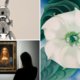 Worstelt de kunstwereld met een genderkloof?	‘Quota zijn nu nodig. Het is gênant’