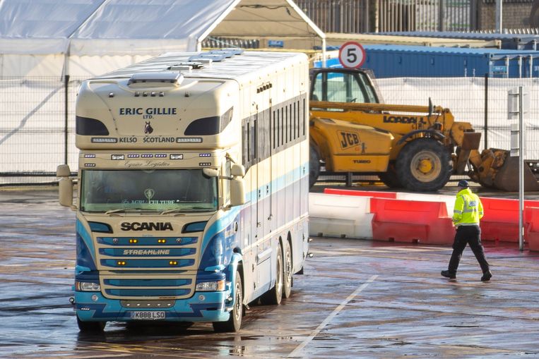 De haven van Belfast, in Noord-Ierland.  Beeld EPA