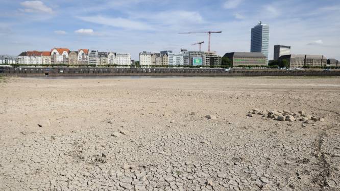De levensader van de Duitse economie staat droog: waarom het lage waterpeil op de Rijn ook economisch een ramp is