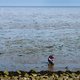 Stroomkabel voor windmolenpark raakt   werelderfgoed Waddenzee in het hart