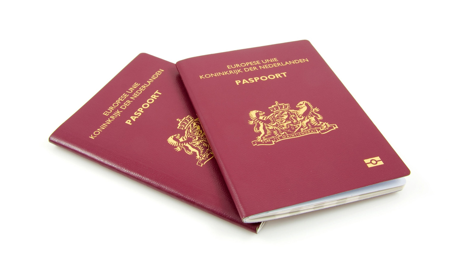 Как получить гражданство нидерландов. Двойное гражданство. Как получить гражданство нидерландов. Нидерландское гражданство. Место жительства.
