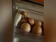 Vrouw koopt eieren op de markt, even later hoort ze getsjirp in de koelkast 