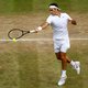 Het afscheid van de tennisser die zijn sport tot kunst wist te verheffen