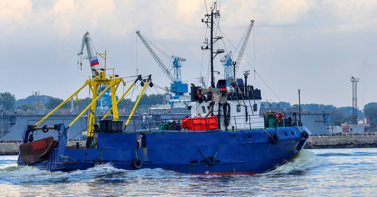 La Norvegia prende provvedimenti contro i pescherecci russi |  Guerra tra Ucraina e Russia