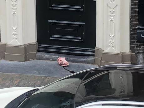Bloedende schapenkop schokt buurt: ‘Wat volgt, een dode koe in de straat?’