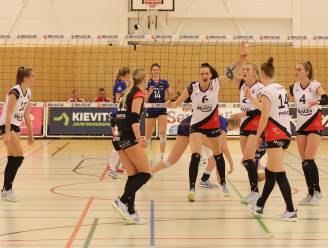 Volleybal: Apollo 8 knokt zich terug uit geslagen positie in Sneek, Devoko in derby te sterk voor Dynamo