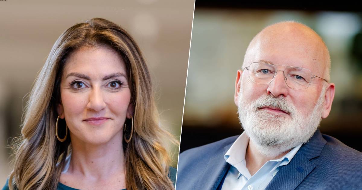 Antworten auf Leserfragen: Wer wählt noch die VVD und wer will wirklich nicht mit Timmermans zusammenarbeiten?  |  Politik