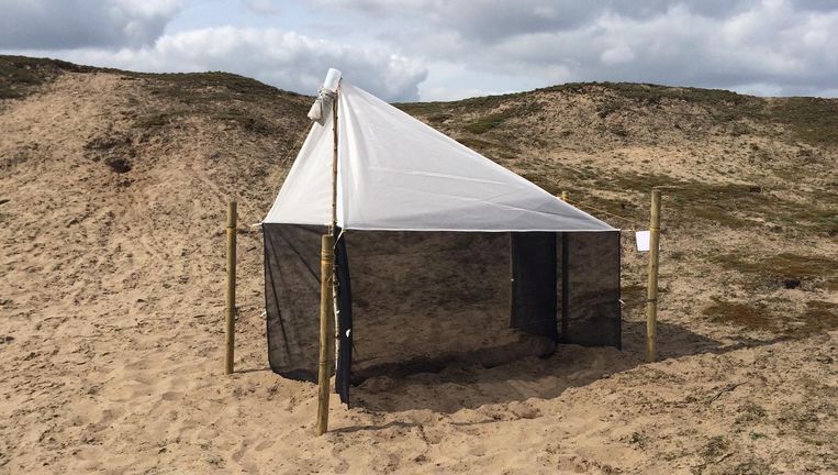Een 'malaiseval', waarmee insecten worden gevangen voor tellingen Beeld Radboud Universiteit