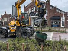 Jonge bomen aan de Hazeldonkse Zandweg nu al vervangen: ‘De bomen zelf zijn het probleem’