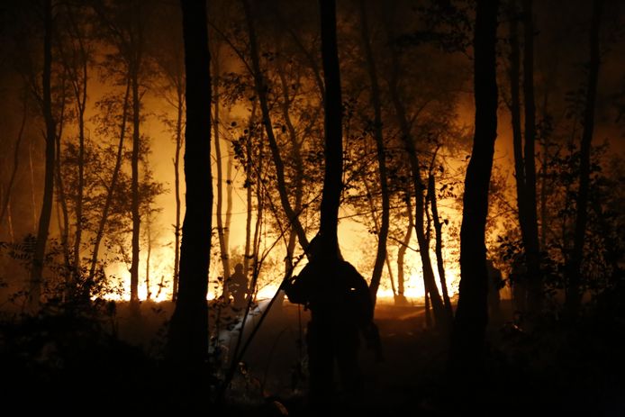 Een stuk bos ter grootte van een voetbalveld is donderdagavond afgebrand aan de Sportlaan in Boxmeer.