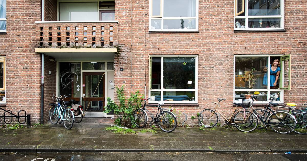 melk woestenij Lao Onrust onder Utrechtse studenten om strenge coronaregels: 'Velen hebben  niet de luxe van een tuin' | Utrecht | AD.nl