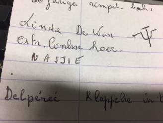 "Een extreemlinkse hoer": Linda De Win deelt haaltmail