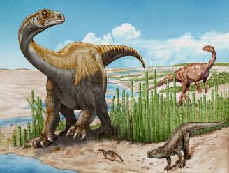 Nieuwe dinosoort komt aan het licht na opgraving van 66 jaar geleden