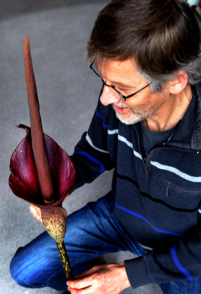 Raymond van der Ham in 2015, met zijn penisplant.