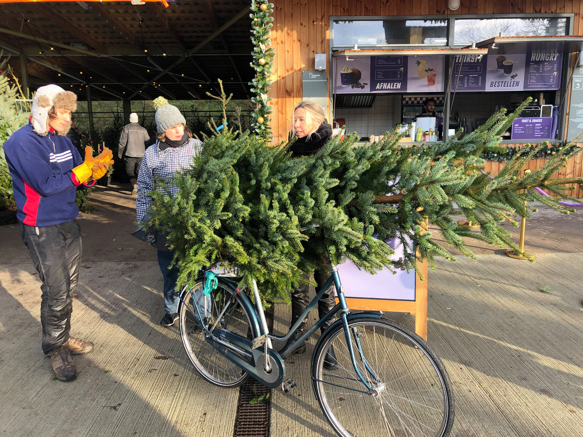 Zaterdag begon Scouting Esjeeka met haar kerstbomenverkoop in het Tilburgse Spoorpark. Mevrouw Van den Berg was één van de eersten om een boom uit te zoeken en per fiets mee te nemen.